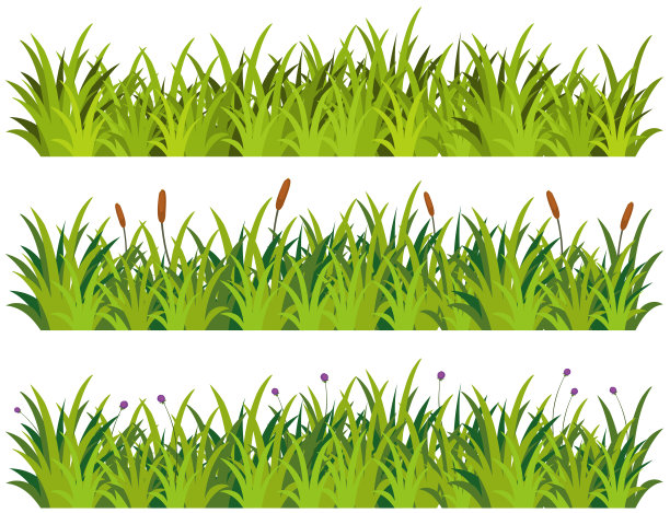 草图案与花在白色的背景图片下载