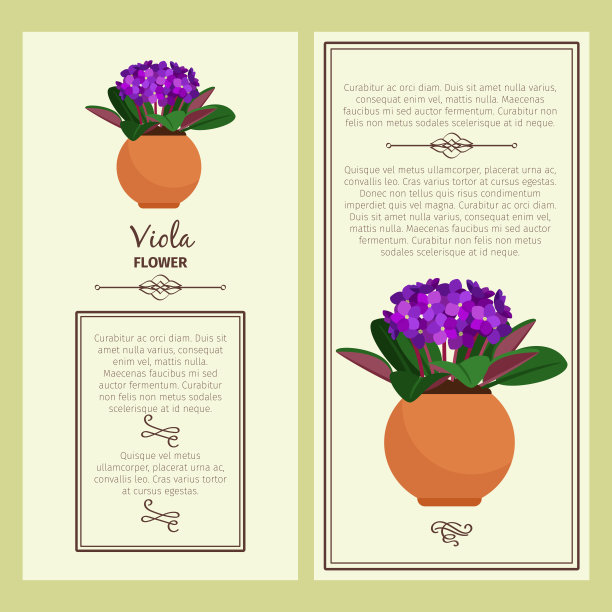 贺卡与中提琴植物图片下载