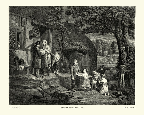 出售宠物羔羊，19世纪图片下载