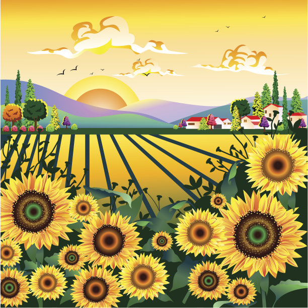 向日葵花园图片下载