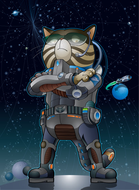 普遍的猫图片下载