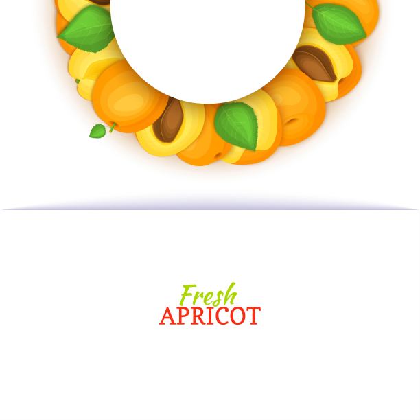 半圆形彩色框架组成的美味的杏子水果。矢量插图。鲜杏半圆白框设计用于食品包装果汁，早餐，化妆品茶，排毒，饮食图片下载