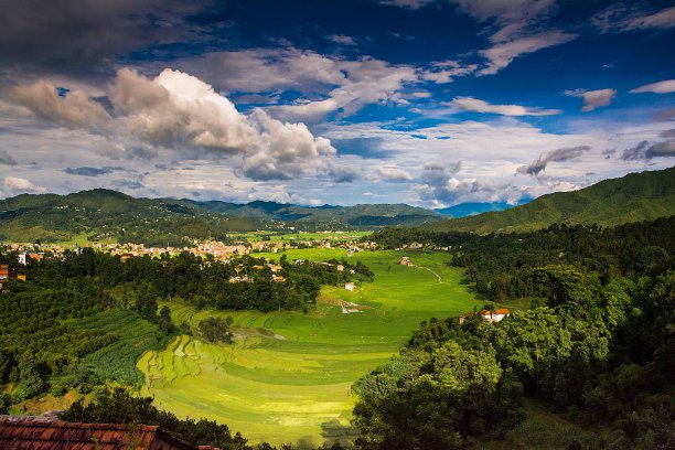 片稻田图片下载