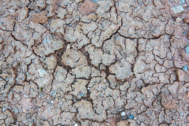 了地球的概念。它使土壤干裂，使土地开裂图片下载