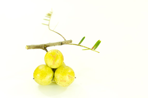 白色背景下的水果特写镜头图片下载