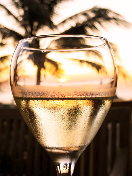 一杯起泡白葡萄酒俯瞰大海，棕榈树的剪影图片下载