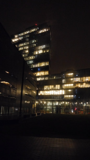 冰岛雷克雅未克的办公楼夜景图片下载