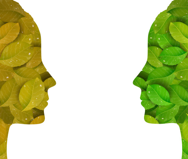 为了让脸部肌肤焕发活力，两位女性在白色背景上分别用新鲜的绿叶和枯黄的叶子勾勒出了一个轮廓，图片下载