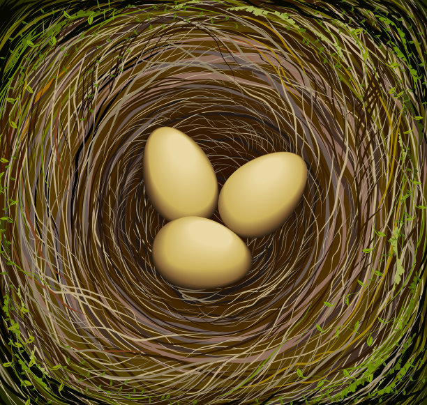 带有三个蛋的逼真鸟窝，大自然中的复活节，图片下载