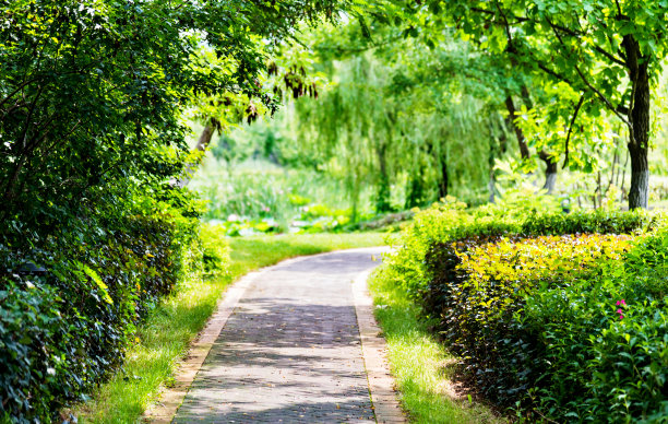 园林景观图片素材ID：305045268