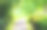 园林景观图片素材ID：305045268
