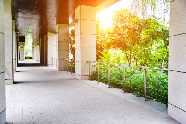 走廊一侧的树木图片下载