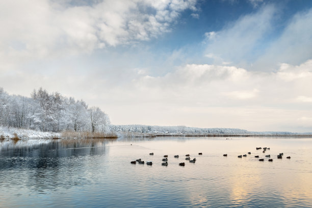 拉脱维亚美丽的冬季湖泊景观图片下载