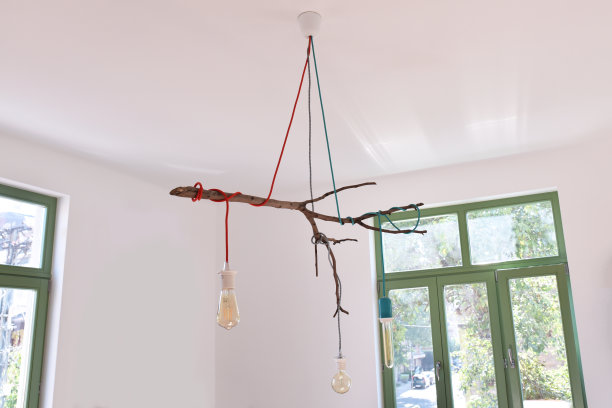 这盏枝形吊灯是用树枝做成的图片下载