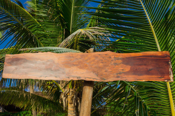 沙滩上有棕榈树的木制牌匾。空间的文本。为文本设置为空。销售和广告概念。旅游的背景图片。图片下载