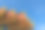美丽的天鹅和那伽雕塑在蓝色的天空背景下，位于泰国北部清莱省的Wat Rong Suea Ten Temple，也被称为blue Temple图片下载
