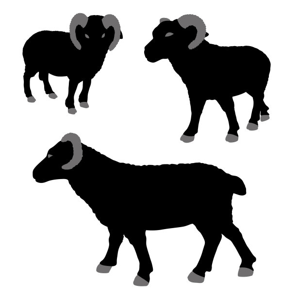 矢量Ram轮廓孤立在白色上图片下载