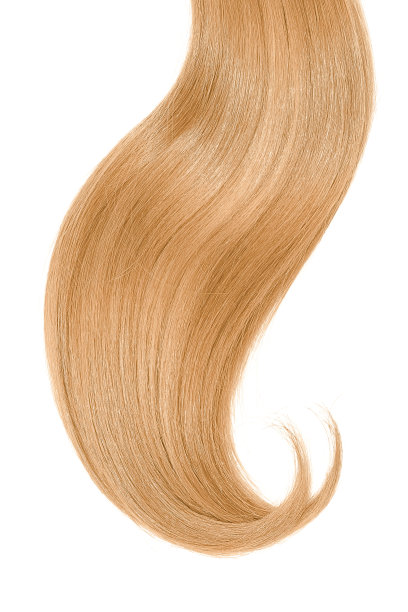 白底上的金发图片下载