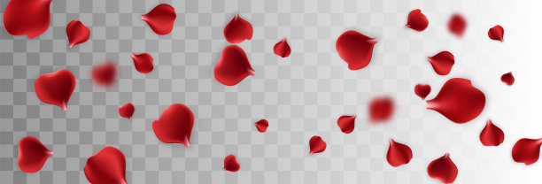 红色玫瑰花瓣透明背景素材图片