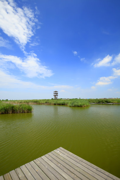 湿地景观图片下载