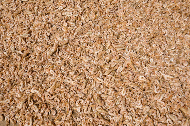 泰国阳光下的干虾图片下载