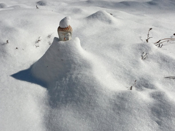 冬园佛图片下载