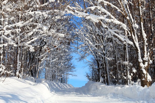 雪隧道图片下载