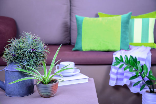 现代客厅室内设计，沙发，花瓶，抱枕图片下载