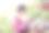 可爱的亚洲小女孩在有机草莓农场采摘新鲜的草莓图片下载