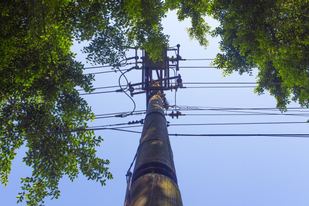 路边极素材图片