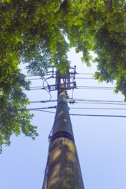 路边极图片下载