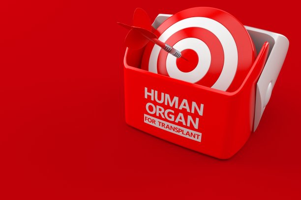 人体器官移植概念图片下载