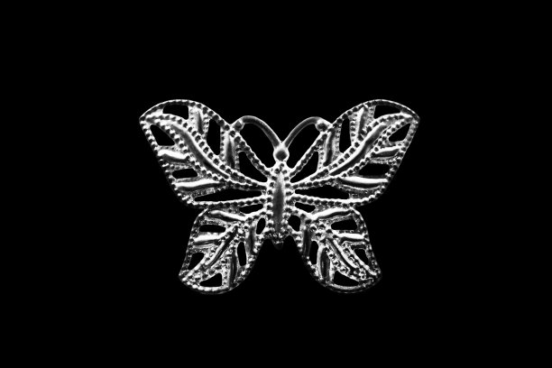 蝴蝶胸针孤立图片下载