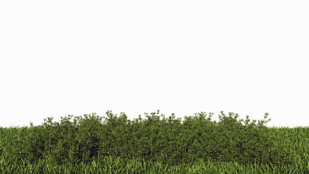 水平无缝灌木丛的3d渲染图片下载
