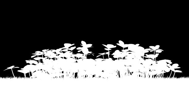 一个剪影植物的3d渲染图片下载