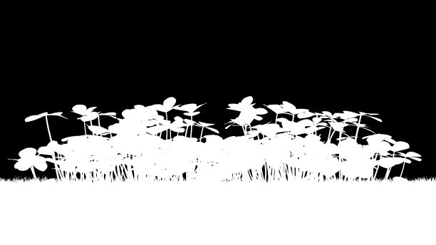 一个剪影植物的3d渲染图片下载