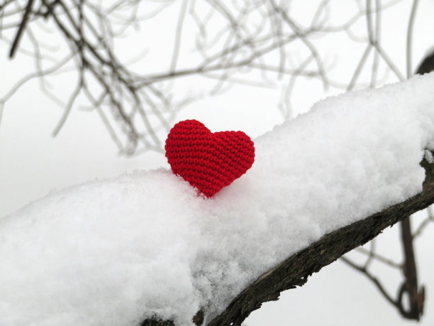 浪漫的心图片下载