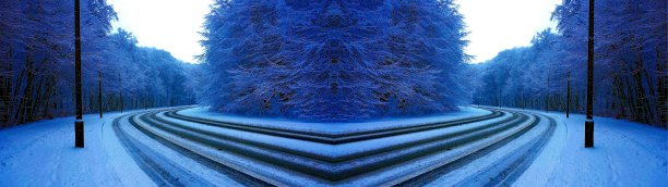 左边或右边?冬季森林-全景图图片下载