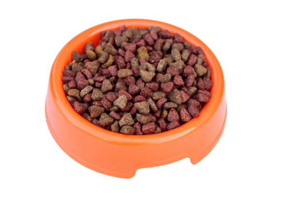 橙色碗里放干猫粮。宠物食品孤立在白色背景图片下载