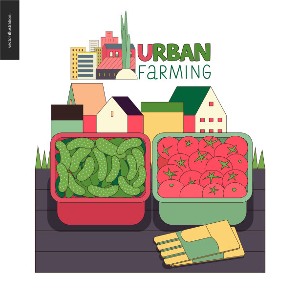 城市农业和园艺，黄瓜和番茄图片下载