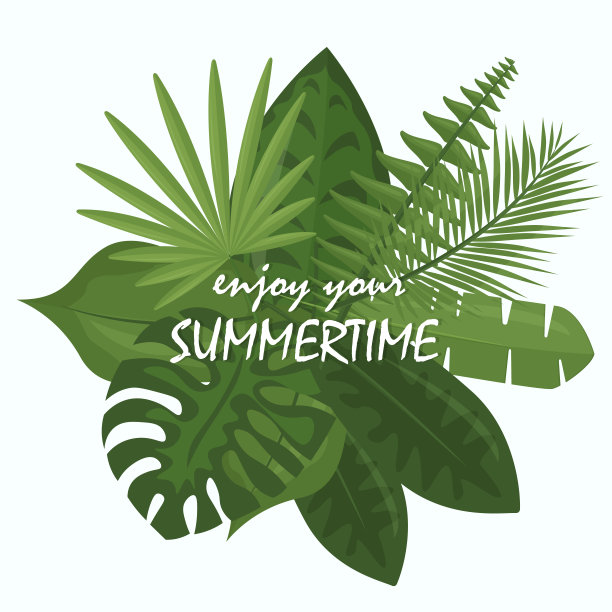 矢量插图花束的热带绿叶棕榈，丛林的叶子，philodendron在白色的背景在卡通扁平风格。图片下载