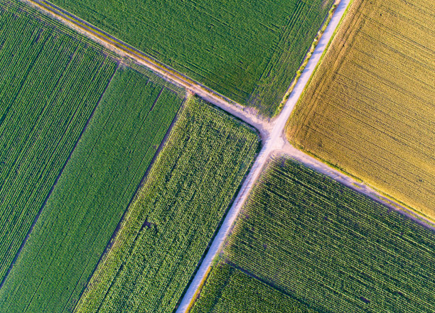 农业领域的抽象图像图片下载