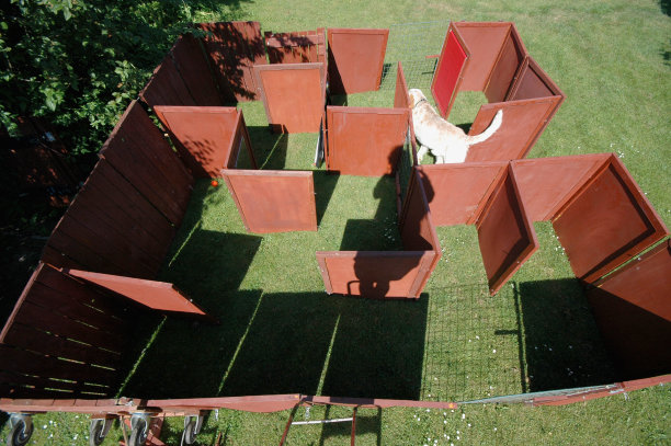 迷宫中的白狗图片下载