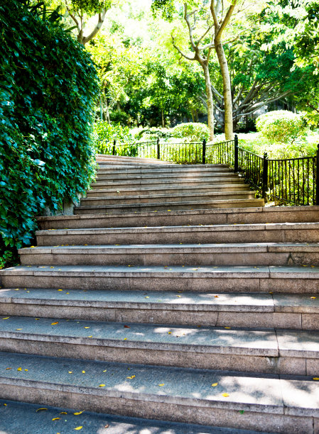 森林里的石头楼梯图片下载