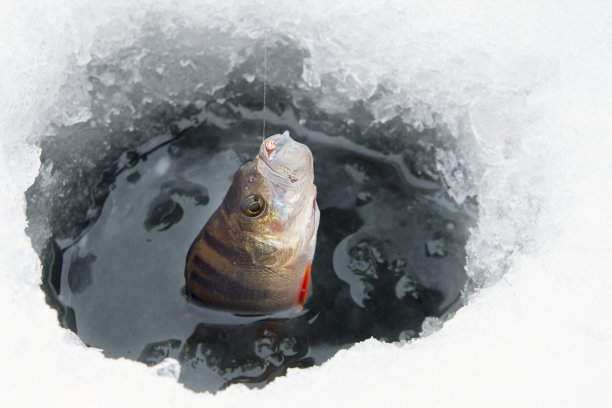 冬天在大池塘钓鱼。图片下载
