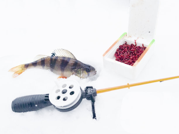 冬天在大池塘钓鱼。图片下载