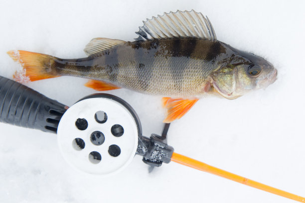 冬天在大池塘钓鱼。图片下载