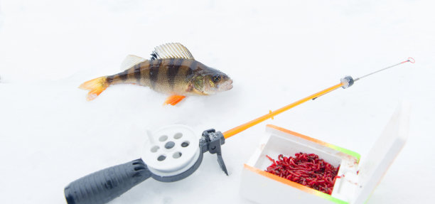 冬天在大池塘钓鱼。图片下载