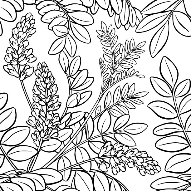 甘草无缝模式图片下载