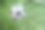 球类运动图片素材ID：305159748